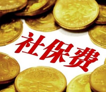 社保繳納記錄去哪里查詢？詳解社保繳納記錄查詢方法