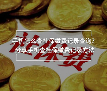 手機(jī)怎么查社保繳費(fèi)記錄查詢？分享手機(jī)查社保繳費(fèi)記錄方法
