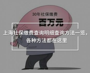 上海社保繳費(fèi)查詢明細(xì)查詢