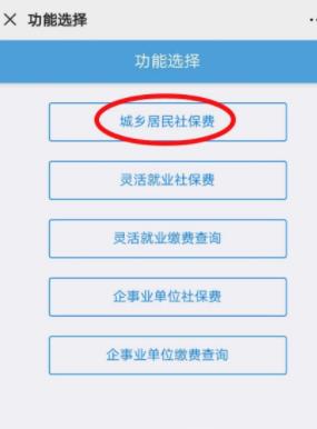 怎樣查個人社保繳納情況查詢，斷繳后有什么影響！