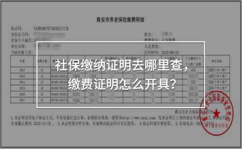 社保繳納證明去哪里查，繳費證明怎么開具！