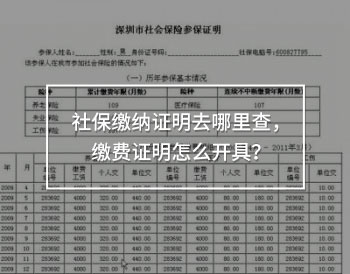 社保繳納證明去哪里查，繳費(fèi)證明怎么開(kāi)具？