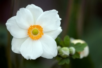 陽光人壽保險(xiǎn)靠譜嗎