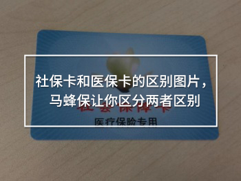 社?？ê歪t(yī)保卡的區(qū)別圖片