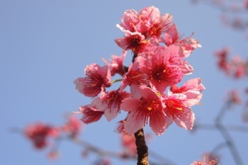 中國(guó)人壽保險(xiǎn)百萬(wàn)醫(yī)療險(xiǎn) 