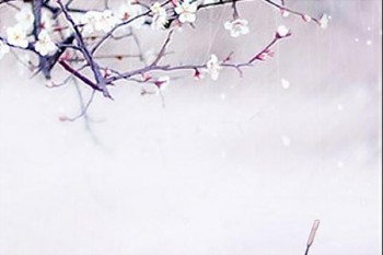 太平超e?？孔V嗎？為什么？  