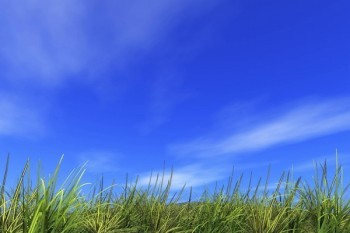 中國(guó)十大保險(xiǎn)公司