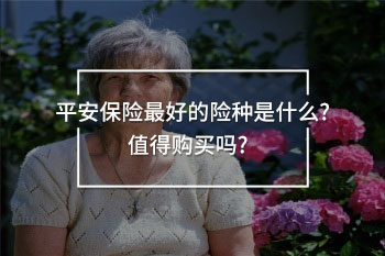 平安保險最好的險種