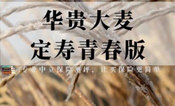 大麥正青春定期壽險(xiǎn)有什么特點(diǎn) 青春定期壽險(xiǎn)適合哪些人