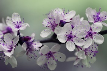 理財險和重疾險的區(qū)別是什么