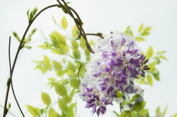 弘康哆啦a保重疾險(xiǎn)