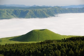 泰康百分百重疾險(xiǎn)缺點(diǎn)