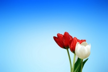 保誠(chéng)重疾險(xiǎn)保險(xiǎn)陷阱