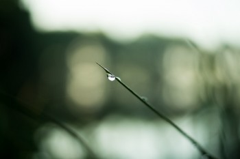 分紅險附加重疾險是什么意思