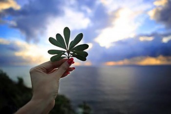 寶寶重疾險