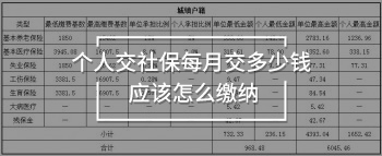個人交社保每月交多少錢