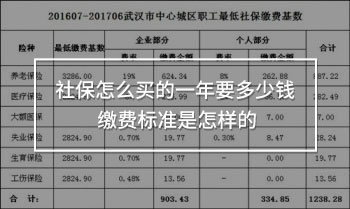 社保怎么買的一年要多少錢
