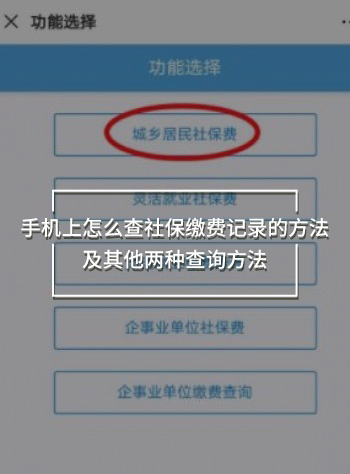 手機(jī)上怎么查社保繳費(fèi)記錄