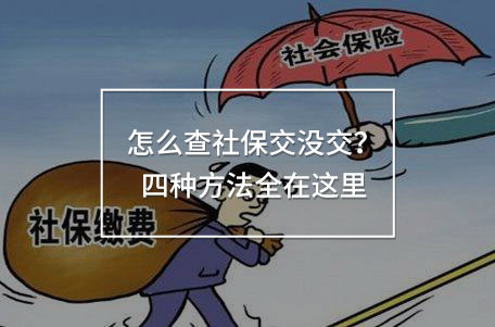 怎么查社保交沒(méi)交