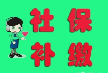 社保補(bǔ)繳機(jī)構(gòu)