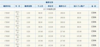 怎么查詢查詢個人社保繳費明細(xì)？