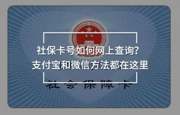 社?？ㄌ柸绾尉W(wǎng)上查詢
