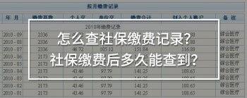 怎么查社保繳費(fèi)記錄？社保繳費(fèi)后多久能查到？