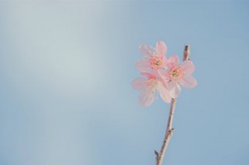 中學(xué)生需要買重疾險(xiǎn)嗎