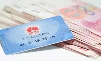 查詢社保個人繳費記錄