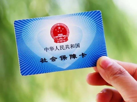 如何查社保繳納情況