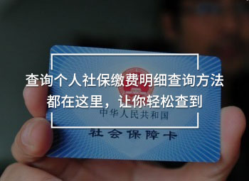查詢個(gè)人社保繳費(fèi)明細(xì)查詢