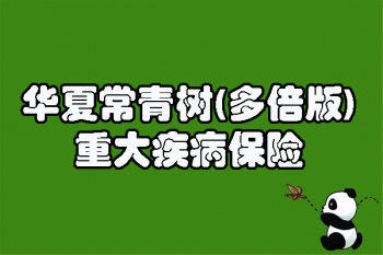 華夏常青樹重疾險應(yīng)該買多少？華夏常青樹重疾險怎么購買？