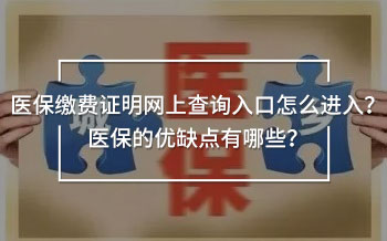 醫(yī)保繳費證明網(wǎng)上查詢入口怎么進入？醫(yī)保的優(yōu)缺點有哪些？