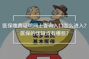 醫(yī)保繳費證明網(wǎng)上查詢入口怎么進入？醫(yī)保的優(yōu)缺點有哪些？