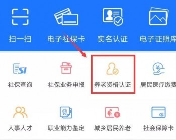 社會(huì)保險(xiǎn)業(yè)務(wù)網(wǎng)站個(gè)人查詢(xún)方式有哪些？什么是社會(huì)保險(xiǎn)？