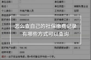 怎么查自己的社保繳費(fèi)記錄