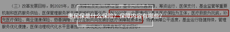 惠民保