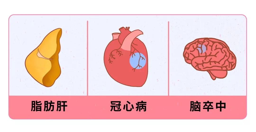 「 高血脂 」