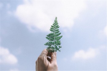 做痔瘡手術對買重疾險有影響嗎