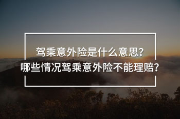 駕乘意外險(xiǎn)是什么意思