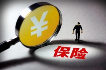易安頂梁柱成人綜合意外2.0介紹
