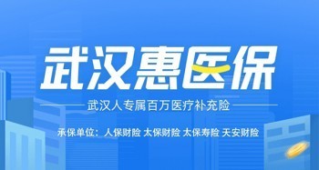 惠醫(yī)保