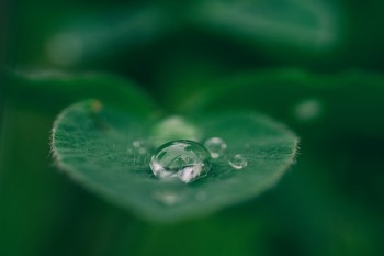 頻發(fā)室性早搏可以買重疾險嗎