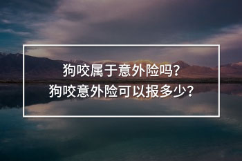 狗咬意外險(xiǎn)可以報(bào)多少