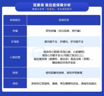 民惠保