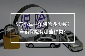 5萬小車一年保險多少錢