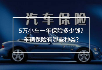 5萬小車一年保險多少錢