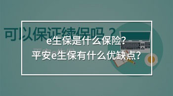 e生保是什么保險(xiǎn)
