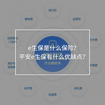 e生保是什么保險(xiǎn)