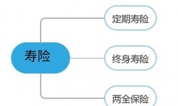 什么是定期壽險